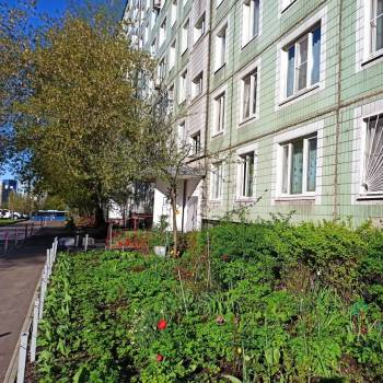Сдается Комната, 47 м²