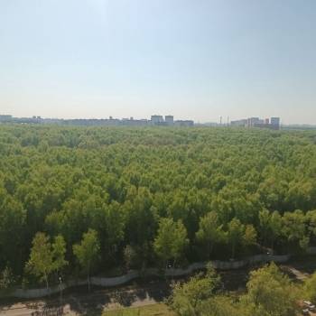 Сдается 1-комнатная квартира, 24 м²