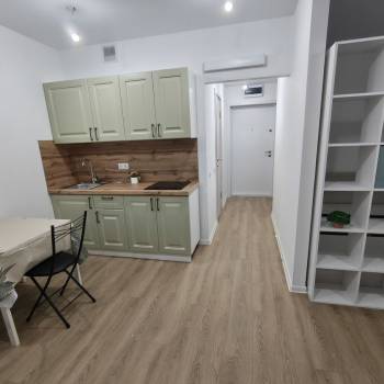 Сдается 1-комнатная квартира, 31,7 м²