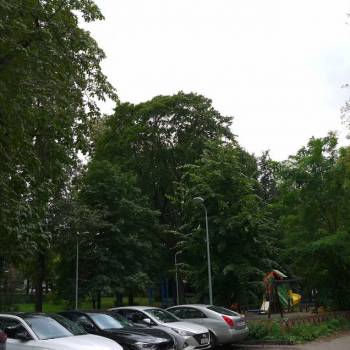 Сдается 1-комнатная квартира, 13 м²