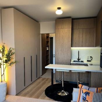 Сдается 1-комнатная квартира, 20,2 м²