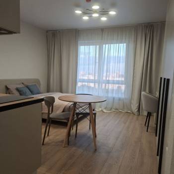 Сдается 1-комнатная квартира, 25,4 м²