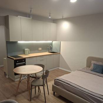 Сдается 1-комнатная квартира, 25,4 м²
