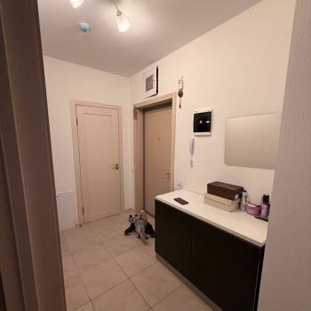 Сдается 2-х комнатная квартира, 61 м²