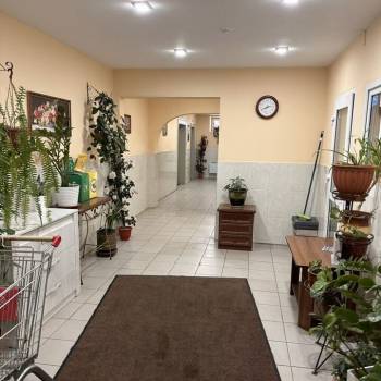 Сдается 1-комнатная квартира, 35,8 м²