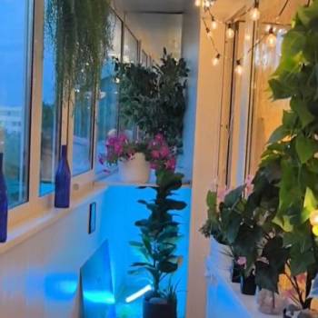 Сдается 2-х комнатная квартира, 48,7 м²