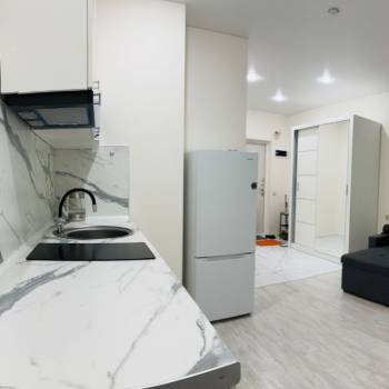 Сдается 1-комнатная квартира, 24,5 м²