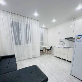 Сдается 1-комнатная квартира, 24,5 м²