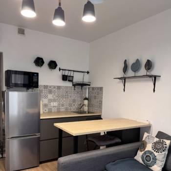Сдается 1-комнатная квартира, 19,6 м²