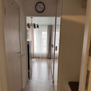 Сдается 1-комнатная квартира, 19,6 м²