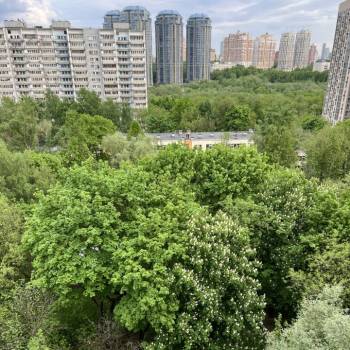 Сдается 2-х комнатная квартира, 50 м²