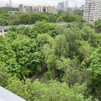 Сдается 2-х комнатная квартира, 50 м²