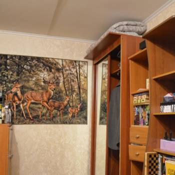 Продается 1-комнатная квартира, 27,4 м²