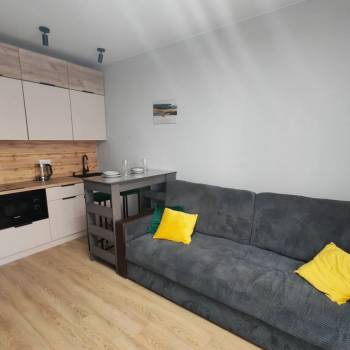 Сдается 1-комнатная квартира, 21,5 м²