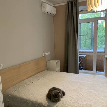 Сдается 2-х комнатная квартира, 55 м²