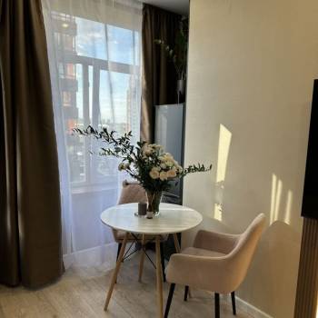 Сдается 1-комнатная квартира, 22,8 м²