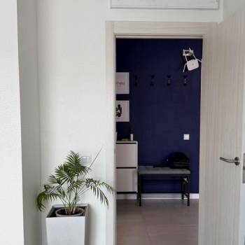 Сдается 2-х комнатная квартира, 45 м²