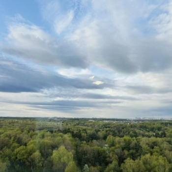Сдается 2-х комнатная квартира, 39 м²