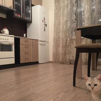 Сдается 1-комнатная квартира, 36 м²