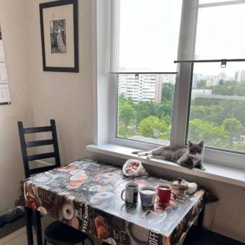 Сдается Многокомнатная квартира, 63 м²