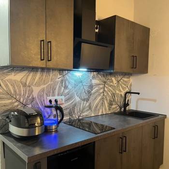 Сдается 1-комнатная квартира, 25 м²