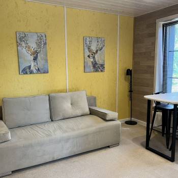 Сдается 1-комнатная квартира, 25 м²