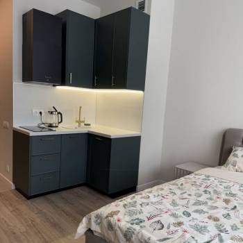 Сдается 1-комнатная квартира, 25,3 м²