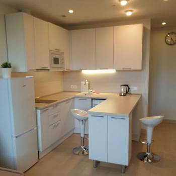 Сдается 1-комнатная квартира, 40 м²