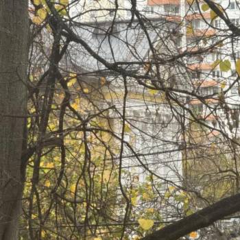 Продается 3-х комнатная квартира, 60 м²