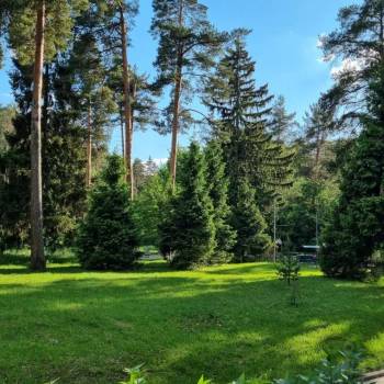 Сдается 2-х комнатная квартира, 52 м²