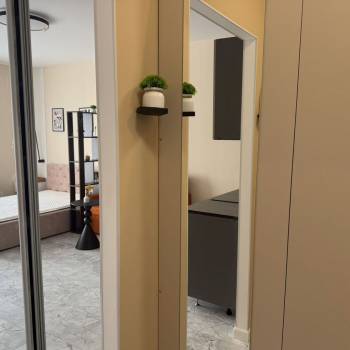 Сдается 1-комнатная квартира, 27,5 м²