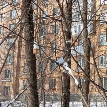 Сдается 1-комнатная квартира, 31 м²