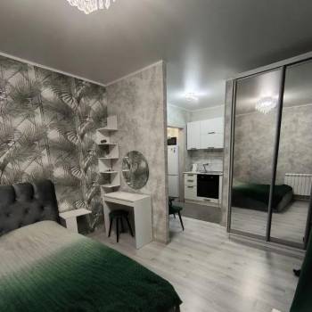 Сдается 1-комнатная квартира, 24,5 м²