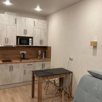 Сдается 1-комнатная квартира, 27,4 м²