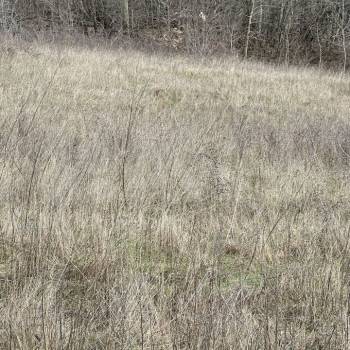 Продается Участок, 1200 м²