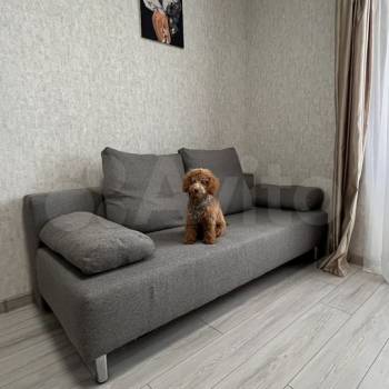 Сдается 1-комнатная квартира, 22 м²