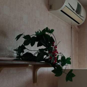 Сдается 2-х комнатная квартира, 52,9 м²