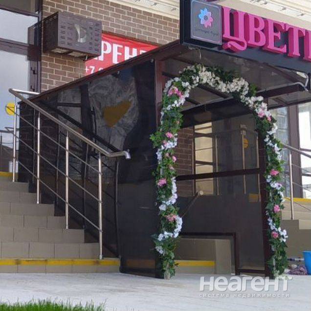 Фотография №3