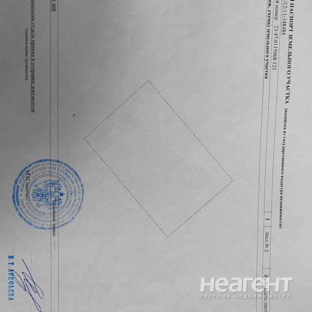 Фотография №2