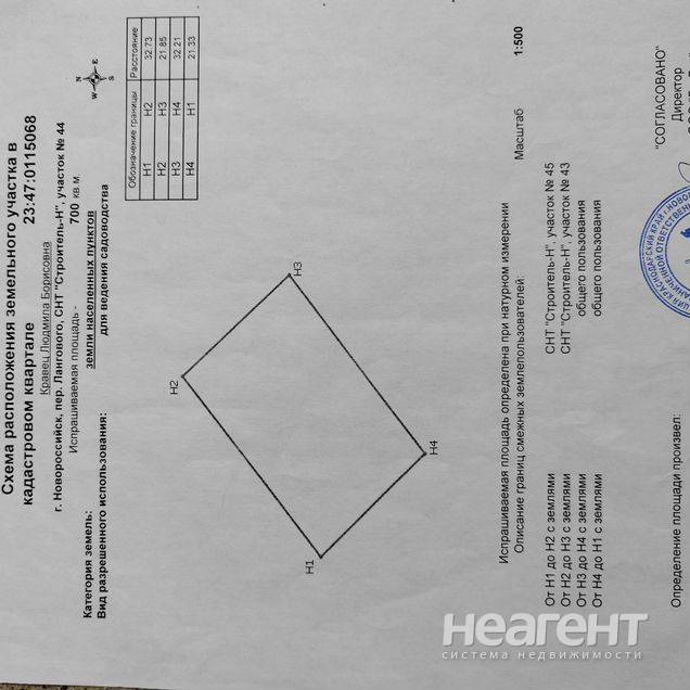 Фотография №3