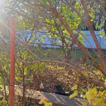 Продается Дом, 200 м²