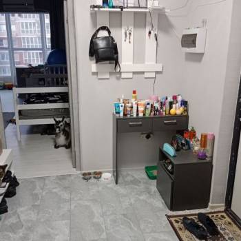 Сдается 2-х комнатная квартира, 77 м²