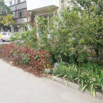 Продается 1-комнатная квартира, 33 м²