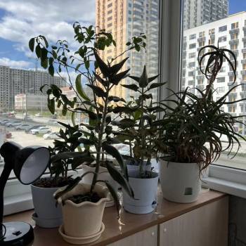 Продается 2-х комнатная квартира, 64,3 м²