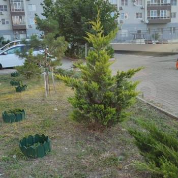 Сдается 2-х комнатная квартира, 65 м²
