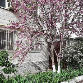 Продается 3-х комнатная квартира, 64 м²