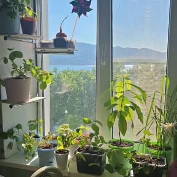 Сдается 2-х комнатная квартира, 45 м²