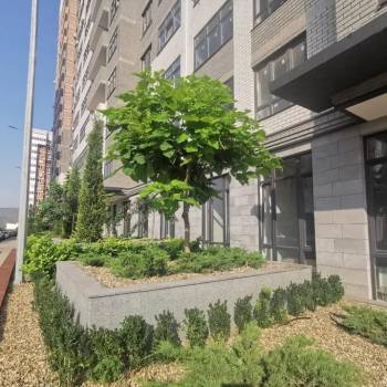 Сдается 1-комнатная квартира, 24 м²