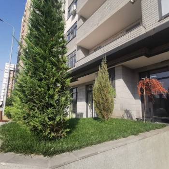 Сдается 1-комнатная квартира, 24 м²