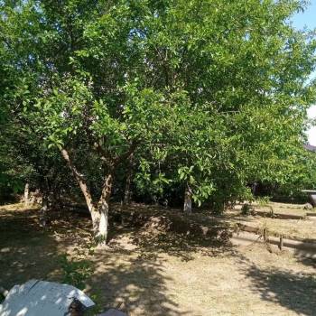 Продается Участок, 730 м²